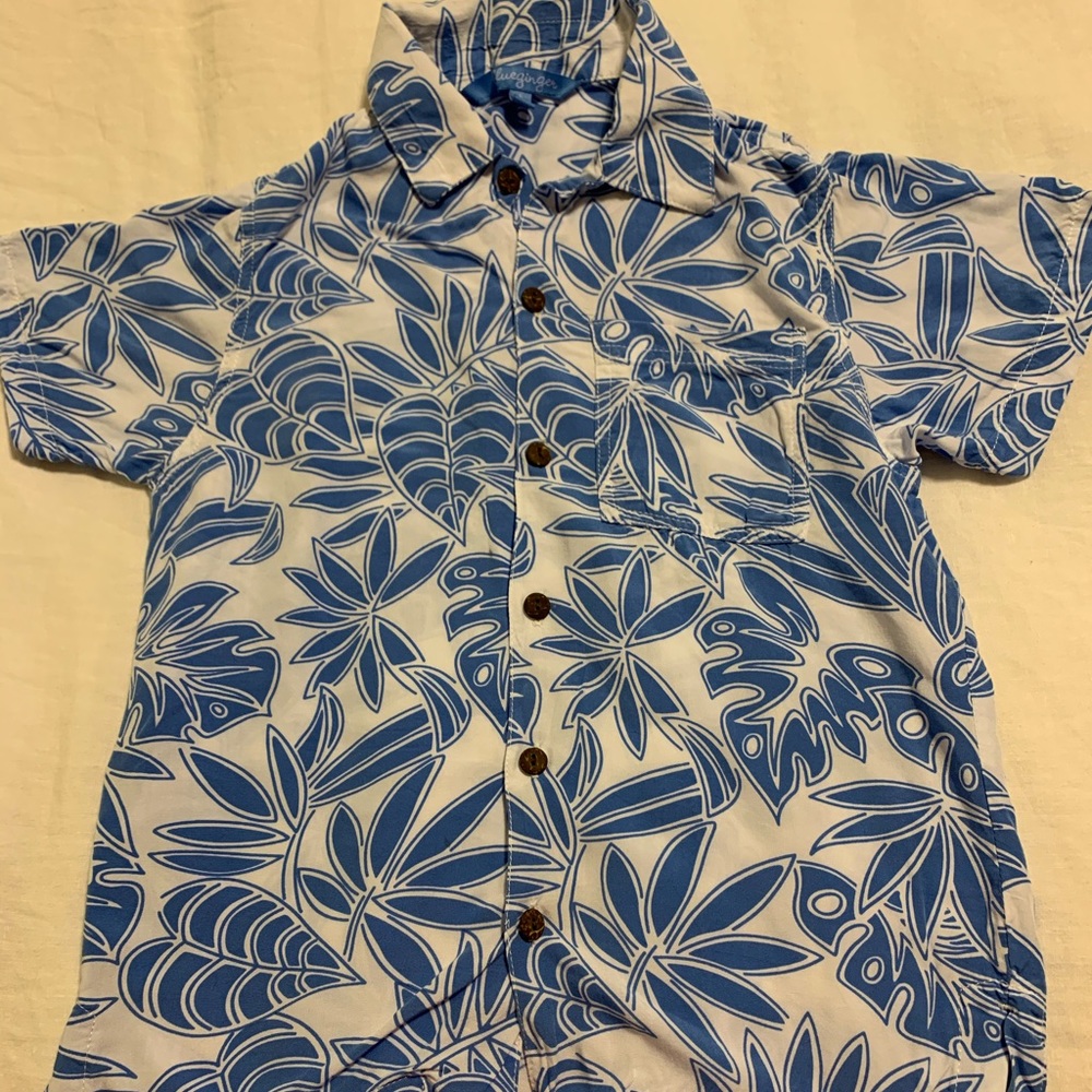 Blue Ginger Hawaiian button up